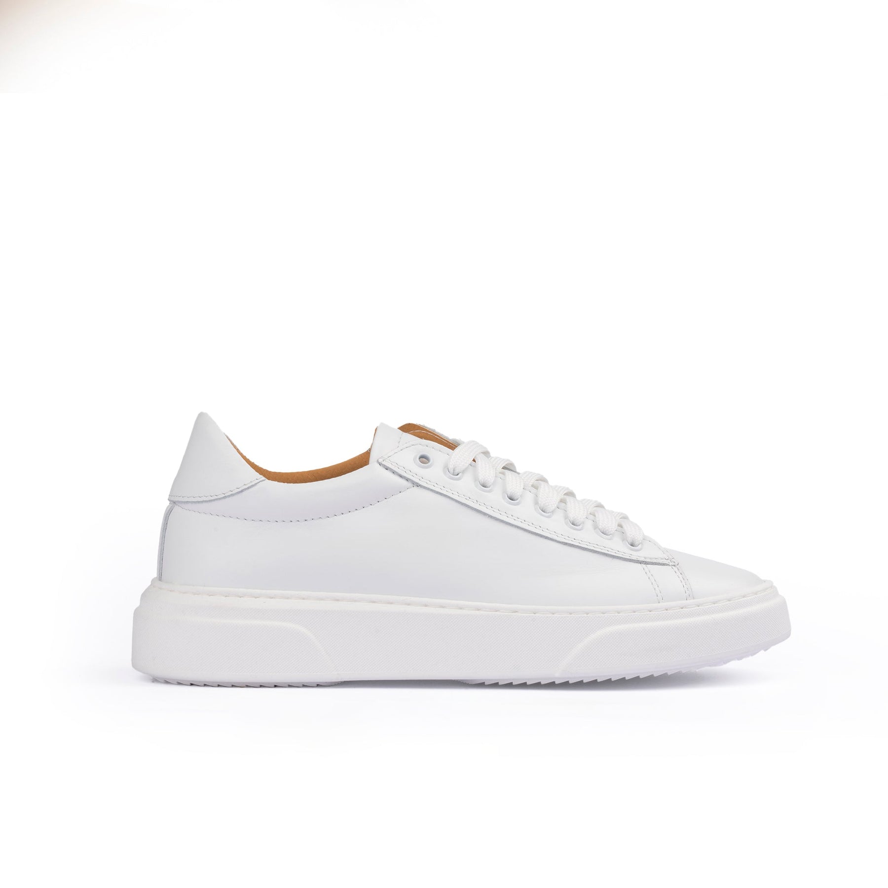 Smith Sneakers basse Uomo in Vera Pelle