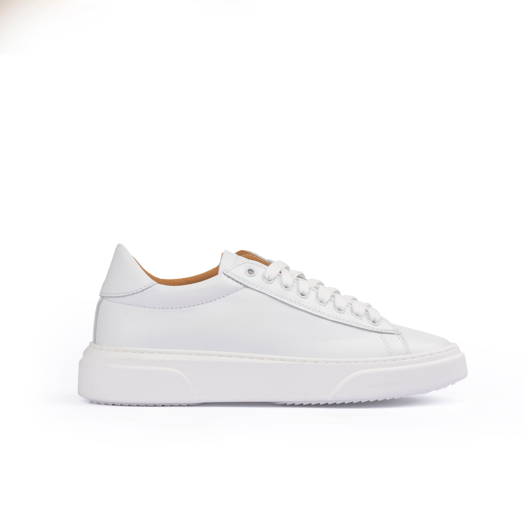 Smith Sneakers basse Uomo in Vera Pelle