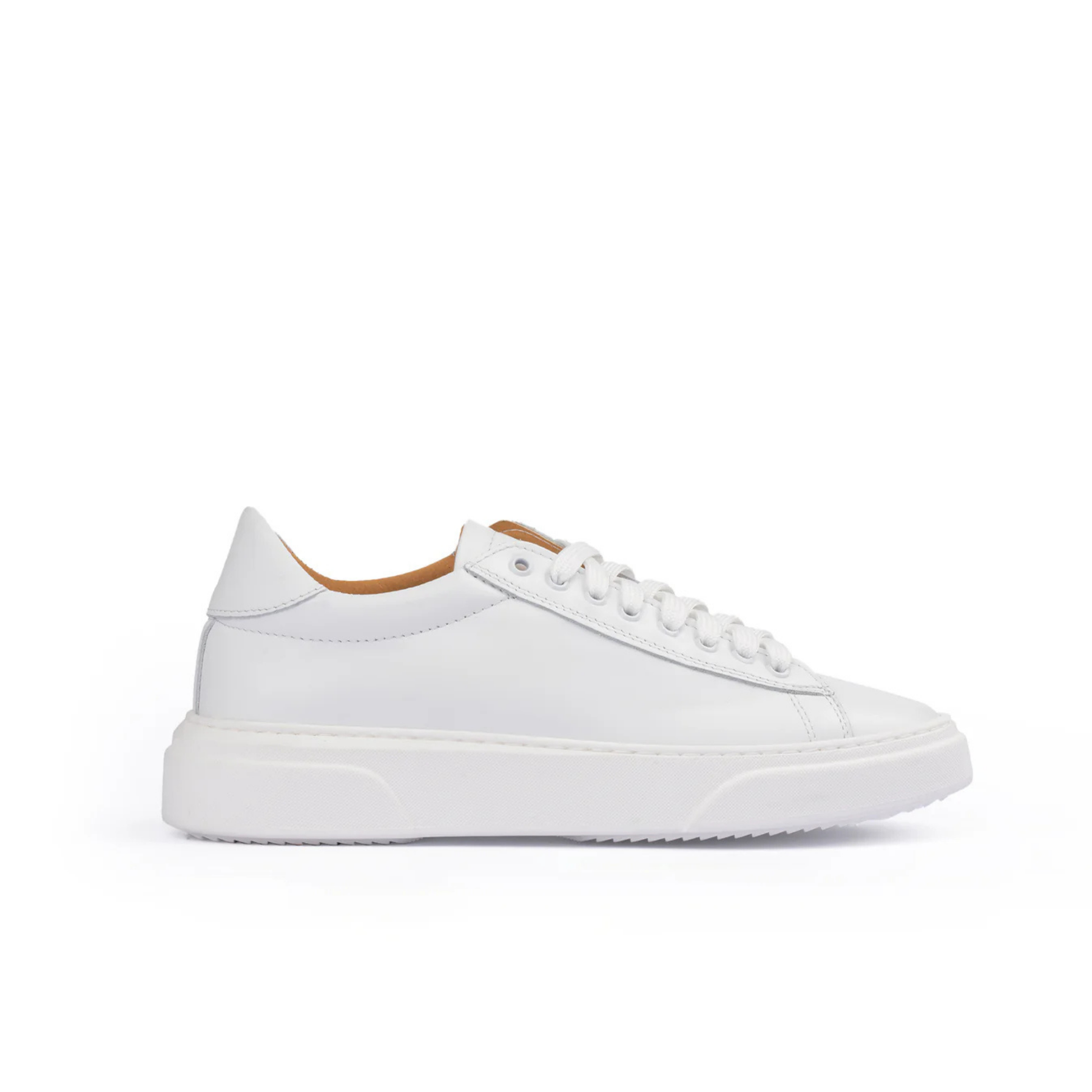 Smith Sneakers basse Uomo in Vera Pelle