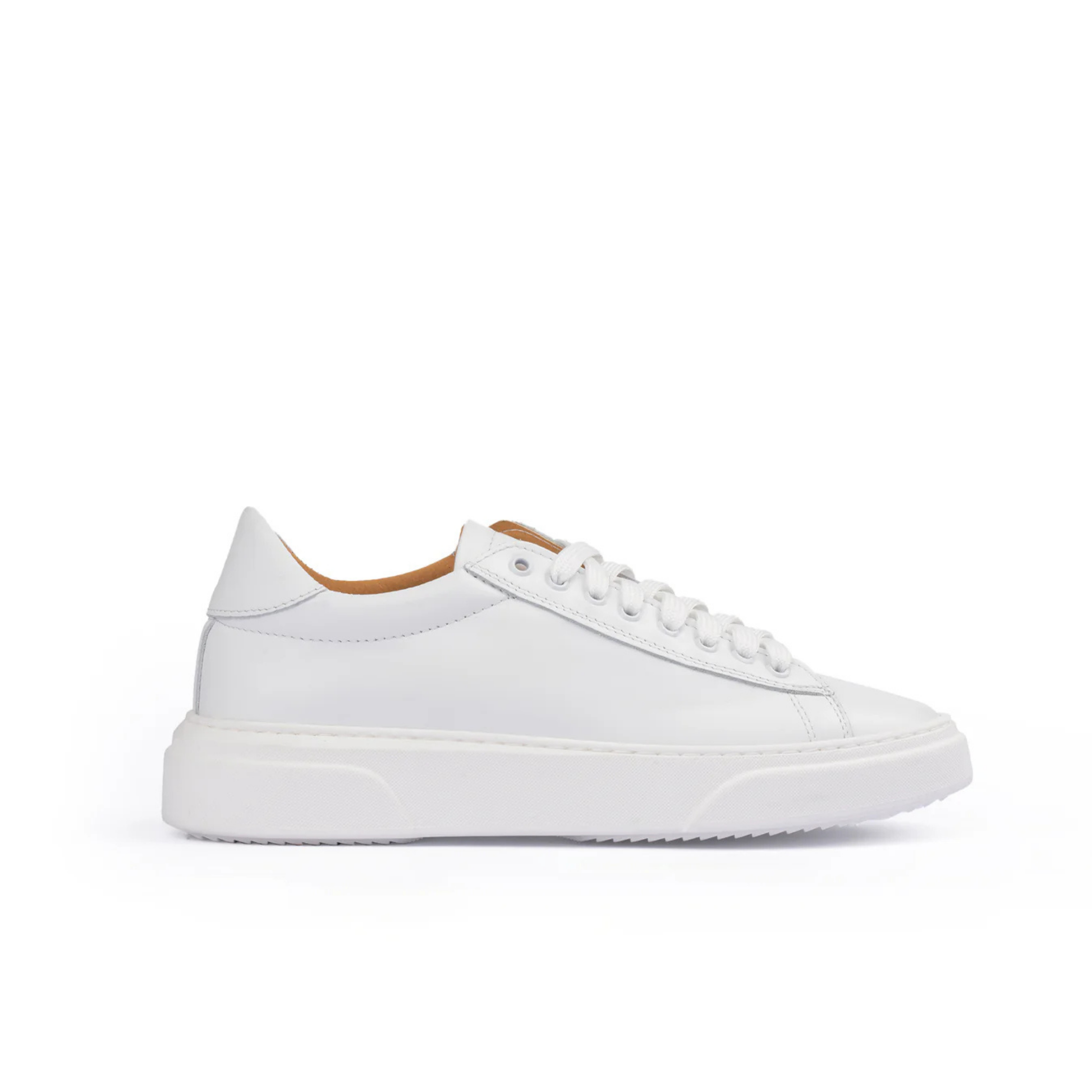 Smith Sneakers basse Uomo in Vera Pelle